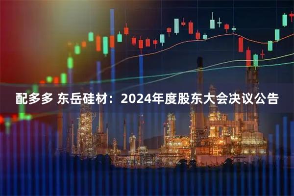 配多多 东岳硅材：2024年度股东大会决议公告