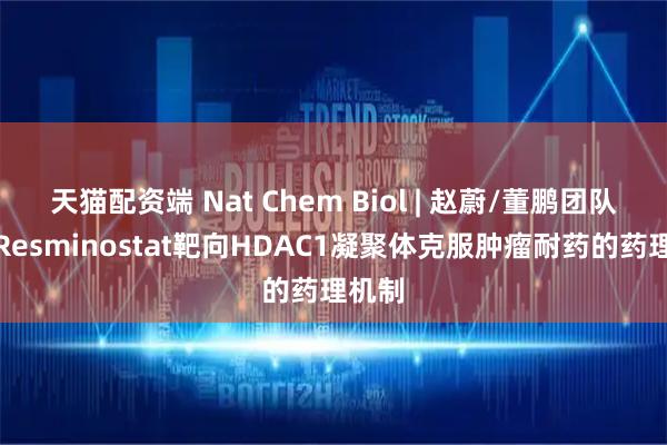天猫配资端 Nat Chem Biol | 赵蔚/董鹏团队揭示Resminostat靶向HDAC1凝聚体克服肿瘤耐药的药理机制